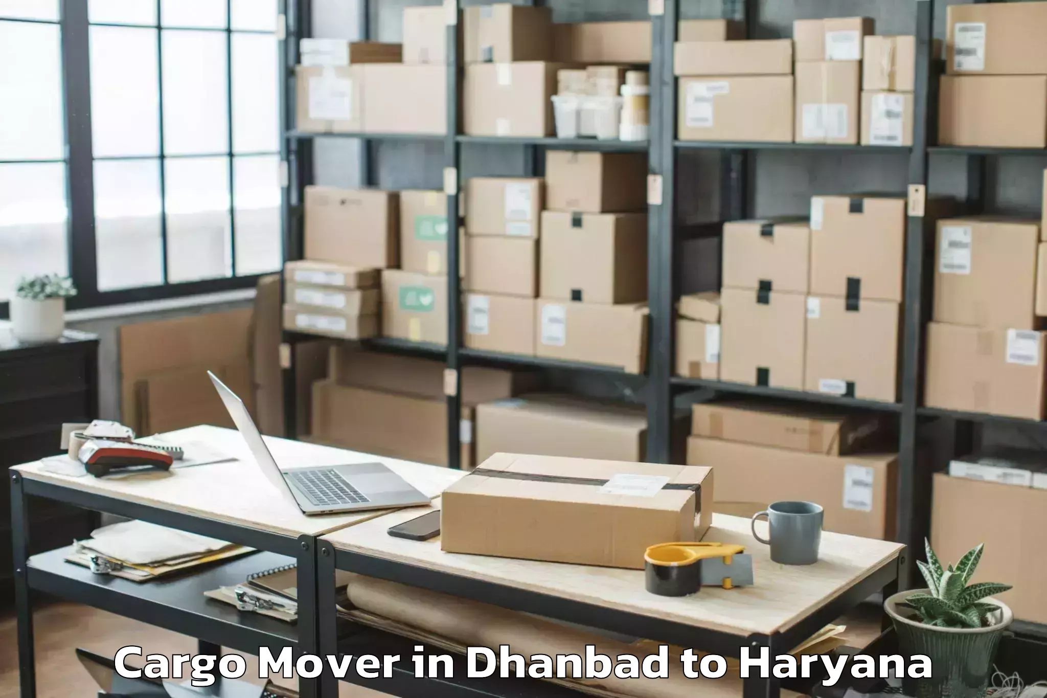 Top Dhanbad to Palwal Cargo Mover Available